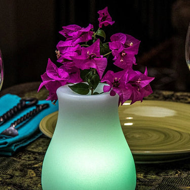 Olio Bluetooth LED Cordless Lamp by Smart & Green - Indoor and Outdoor