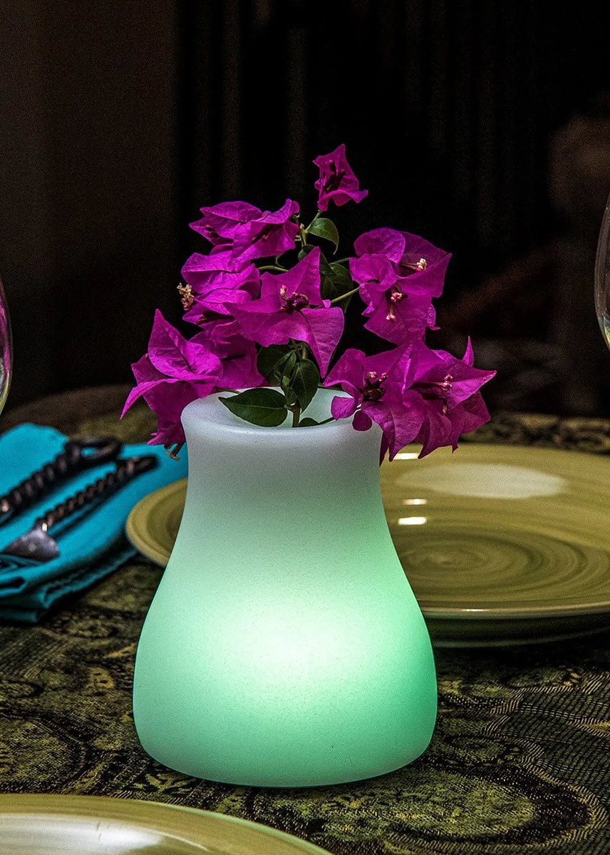Olio Bluetooth LED Cordless Lamp by Smart & Green