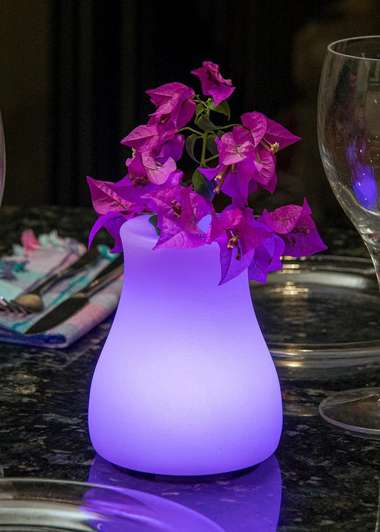 Olio Bluetooth LED Cordless Lamp by Smart & Green