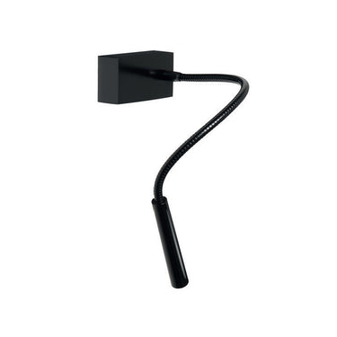 Oliver Wall Light by Carpyen