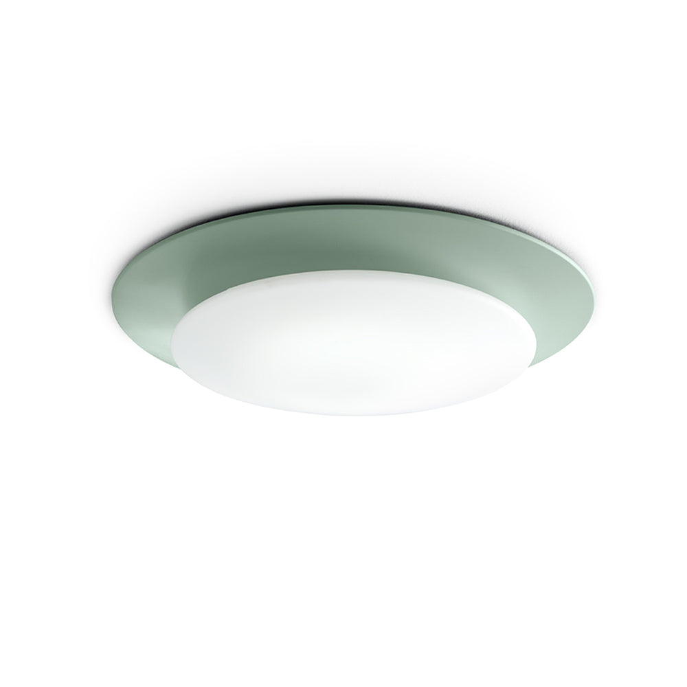 Oslo Wall/Ceiling Light by Carpyen