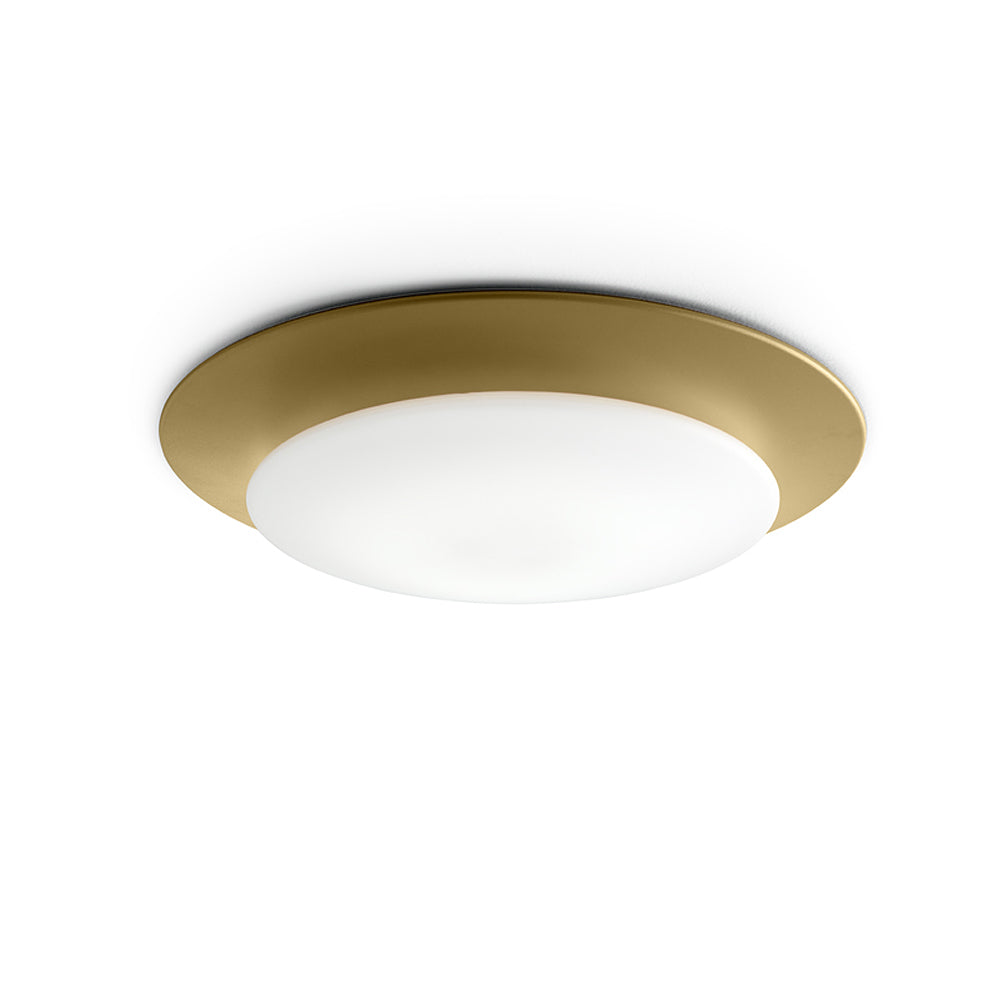 Oslo Wall/Ceiling Light by Carpyen