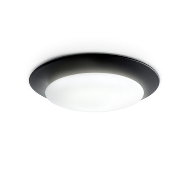 Oslo Wall Or Ceiling Light by Carpyen