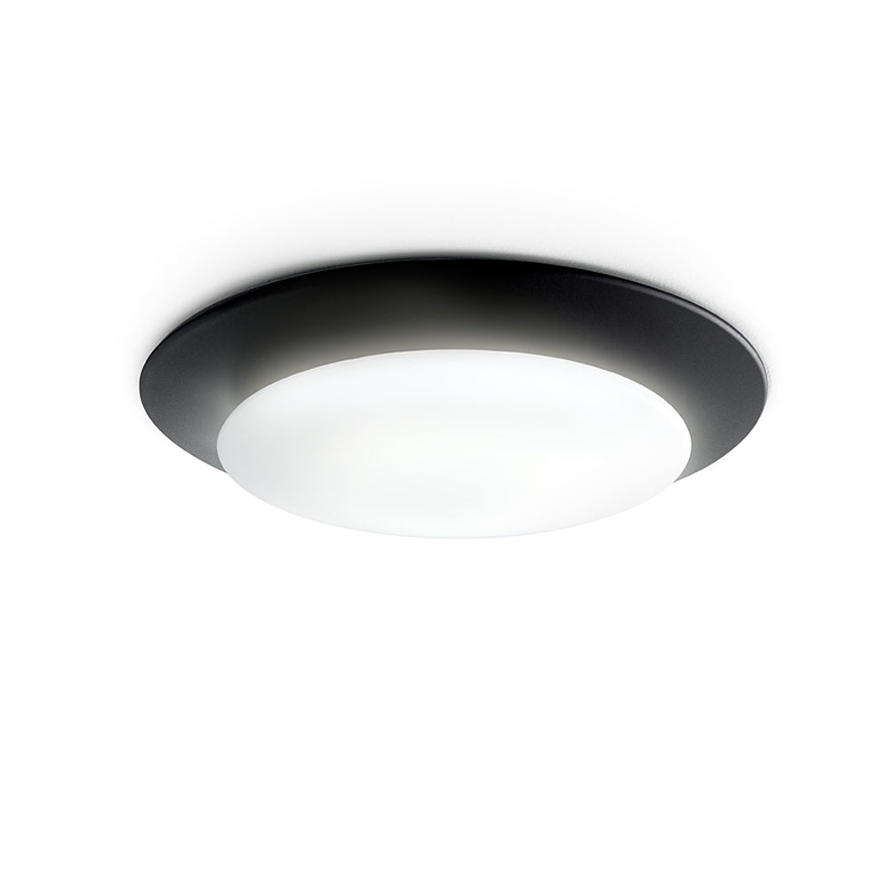 Oslo Wall/Ceiling Light by Carpyen