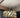 Pallucco Ring Pendant Light