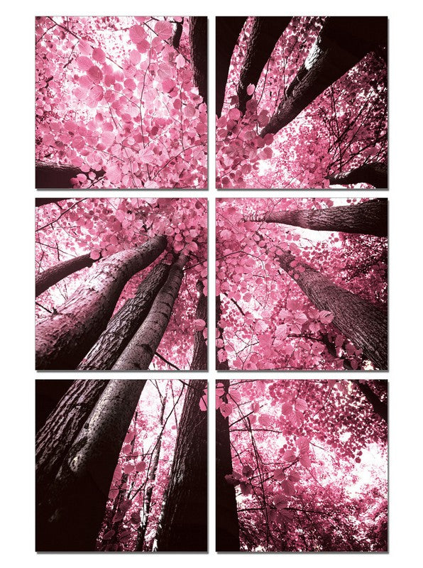 VIG Furniture Modrest Blossom Trees 6 Panel Photo on Canvas