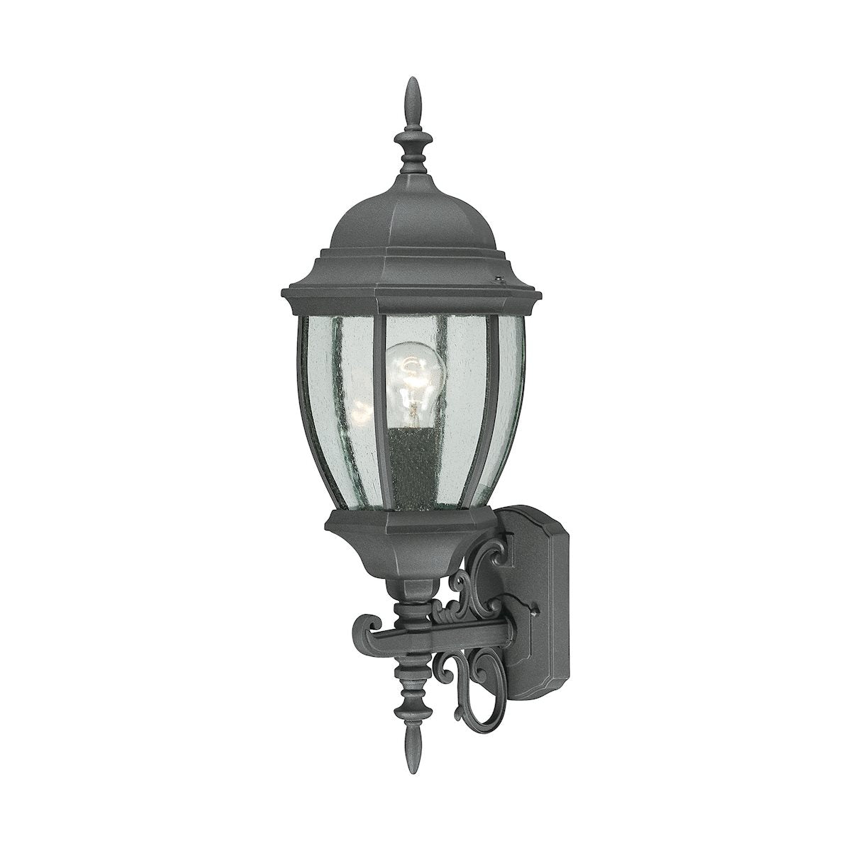 Thomas Lighting Covington Outdoor Wall Lantern Black SL92277
