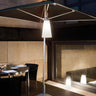 Sasha Pendant Light by Carpyen