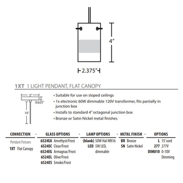 Besa Lighting Scope Pendant Light