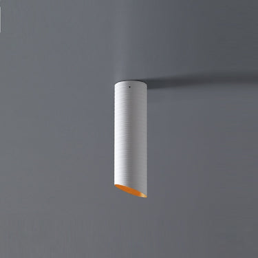 Slice Ceiling Light Medium by Karboxx