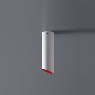 Slice Ceiling Light Medium by Karboxx