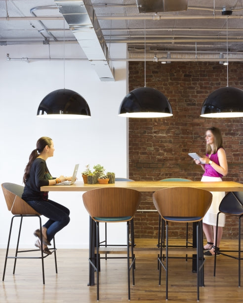 Tech Lighting Powell Street LED Pendant