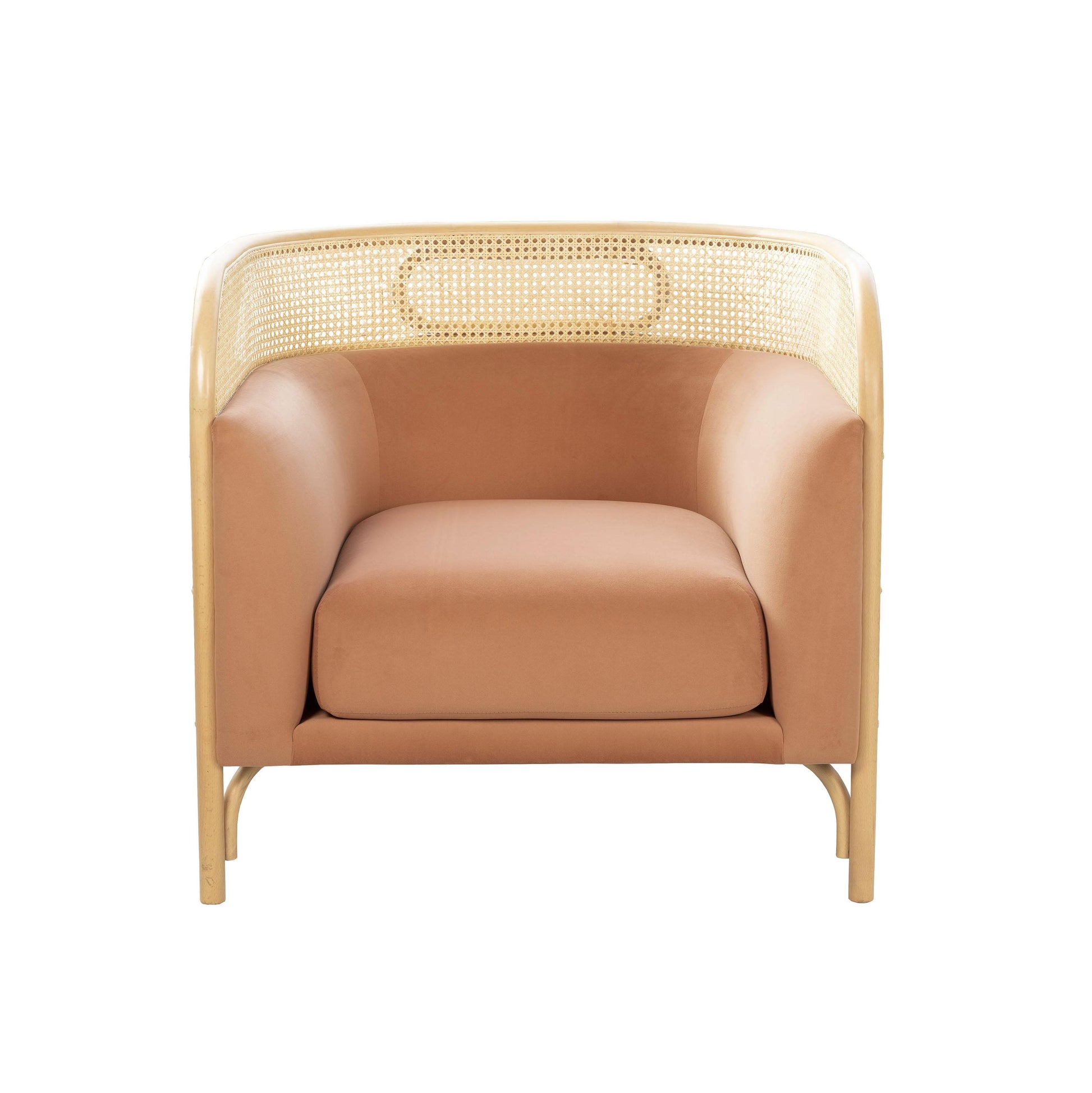 Tov Furniture Desiree Mauve Velvet Accent Chair