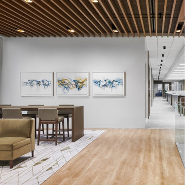 Visual Comfort Exo: dimmable LED ceiling fixture, perfect for hallway general lighting.