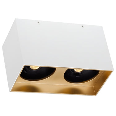 Energy-efficient Exo Dual LED: 60-degree wide beam for commercial office lighting.