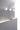 Venus Wall Or Ceiling Light by Carpyen