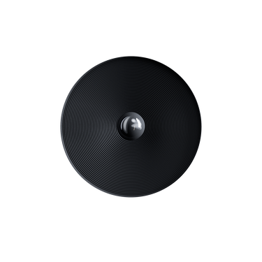 Diesel Living Vinyl Large Wall/Ceiling Lamp