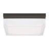 Boxie Large LED Outdoor Wall Ceiling Light - Modern Outdoor Lighting