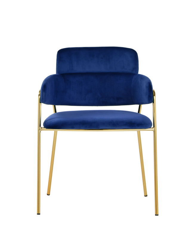VIG Furniture Modrest Tessa Blue Velvet Gold Dining Chair Set of 2