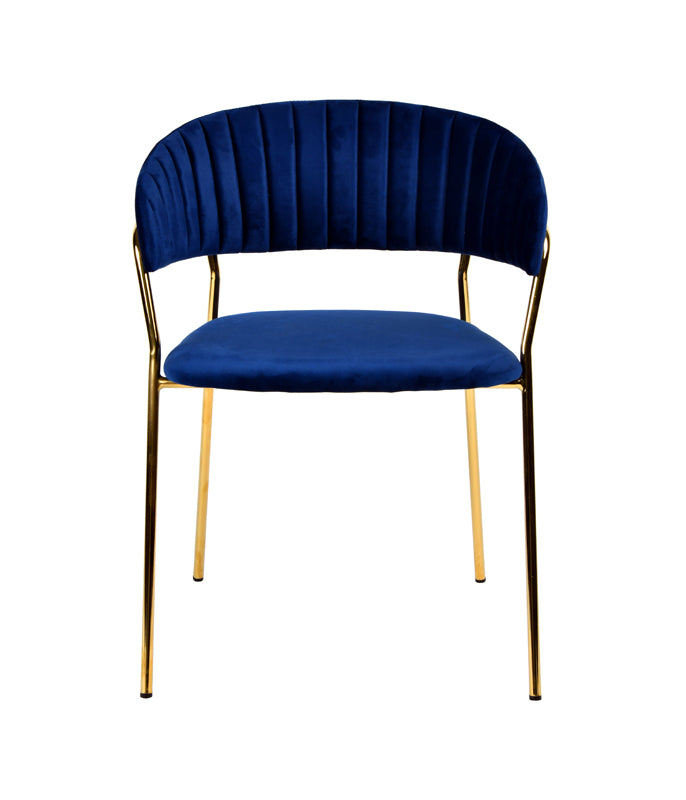 VIG Furniture Modrest Brandy Blue Fabric Dining Chair Set of 2
