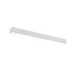 Nora Lighting 24" Bravo FROST Tunable White LED Linear